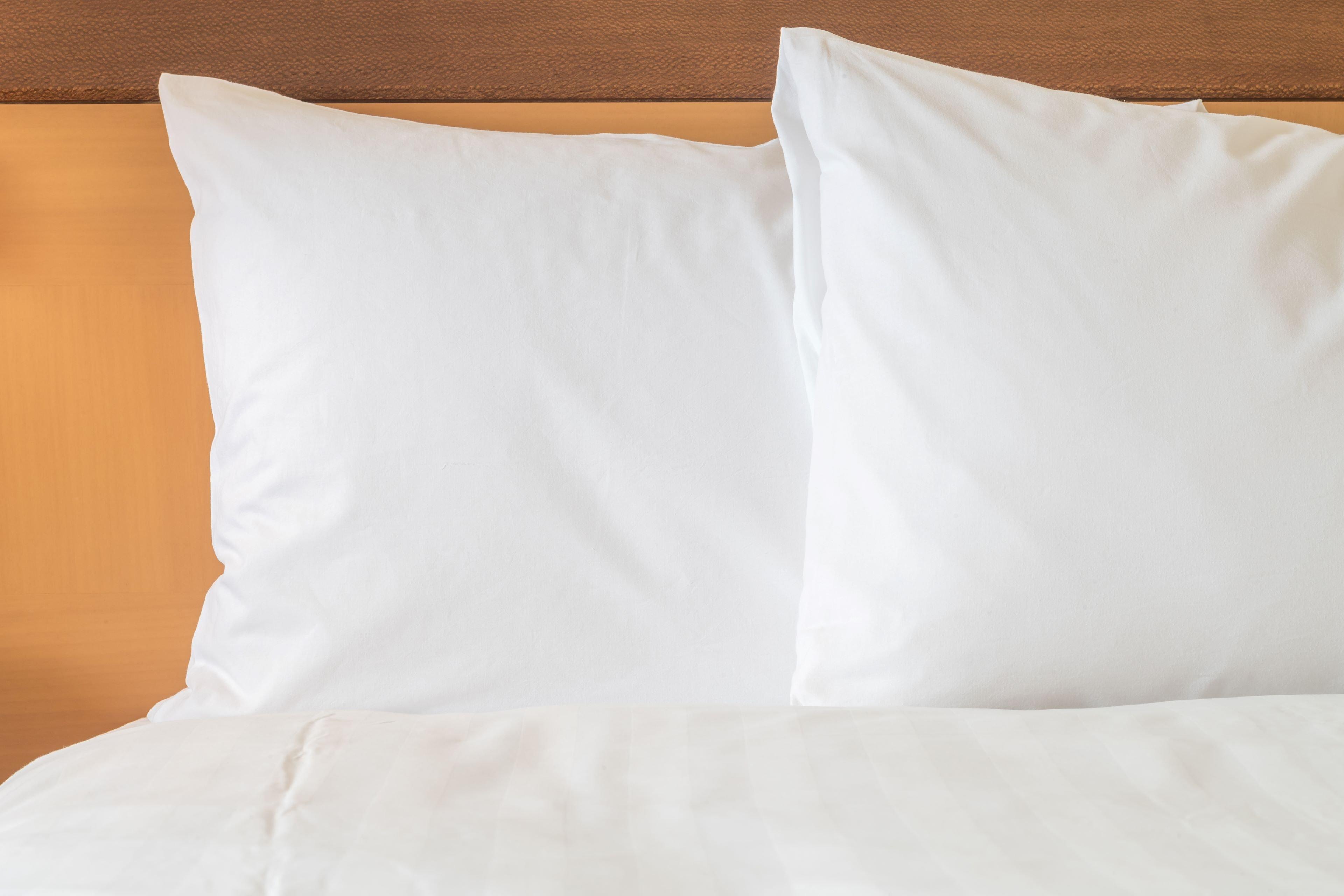 Holiday Inn Express And Suites Limerick - Pottstown By Ihg Eksteriør bilde